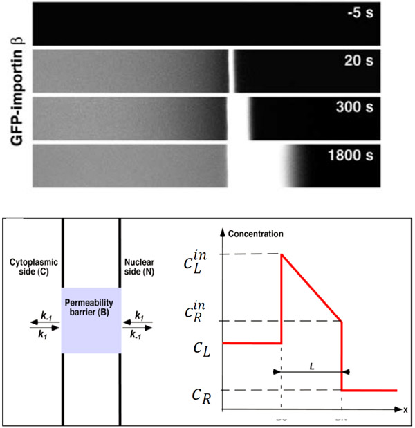 Figure 22.