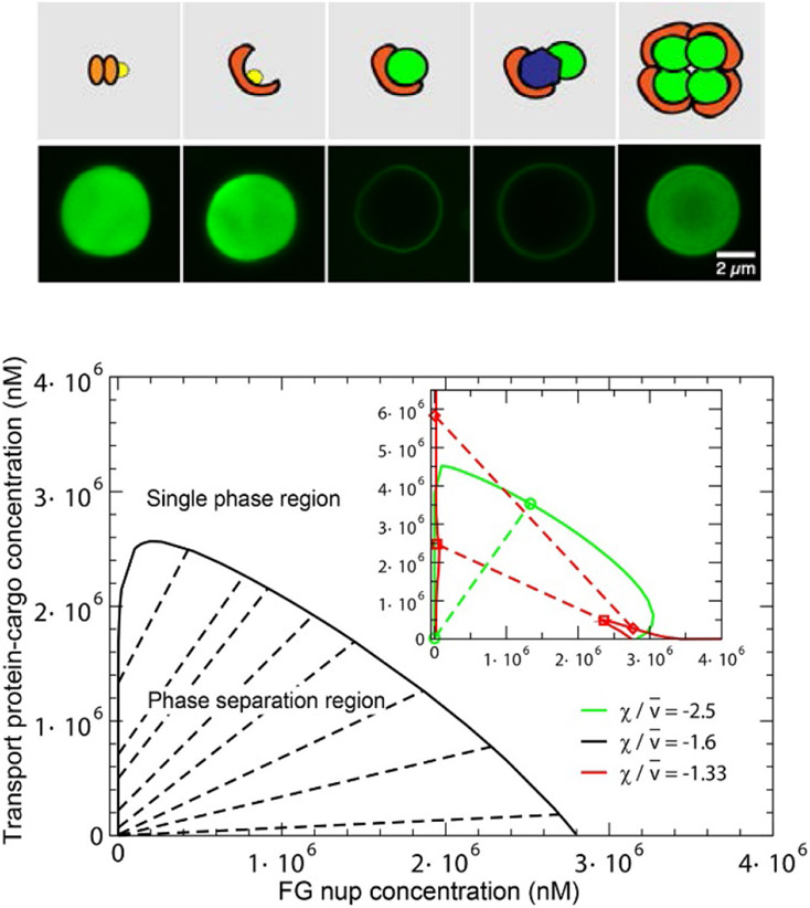 Figure 15.