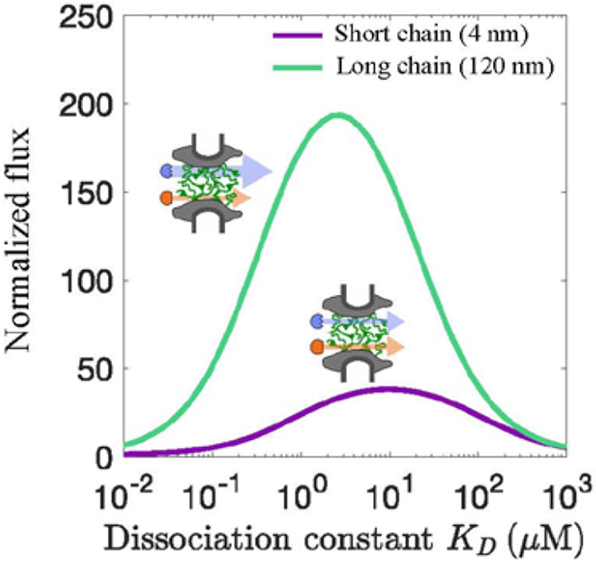 Figure 25.