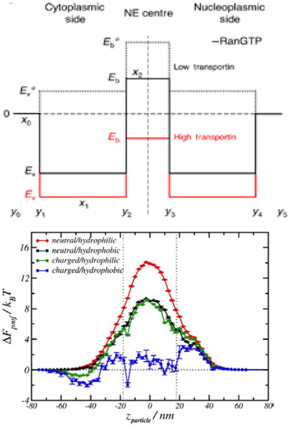 Figure 34.