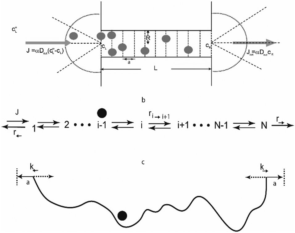 Figure 24.