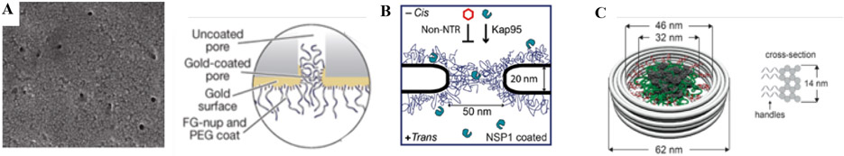 Figure 10.