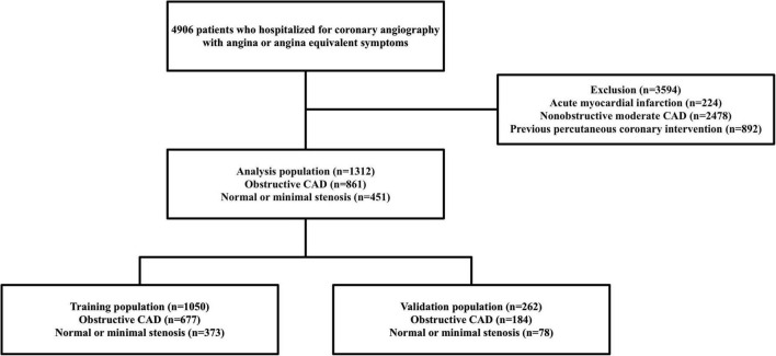 FIGURE 1