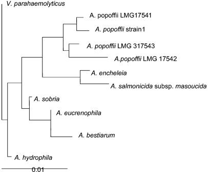 FIG. 1.