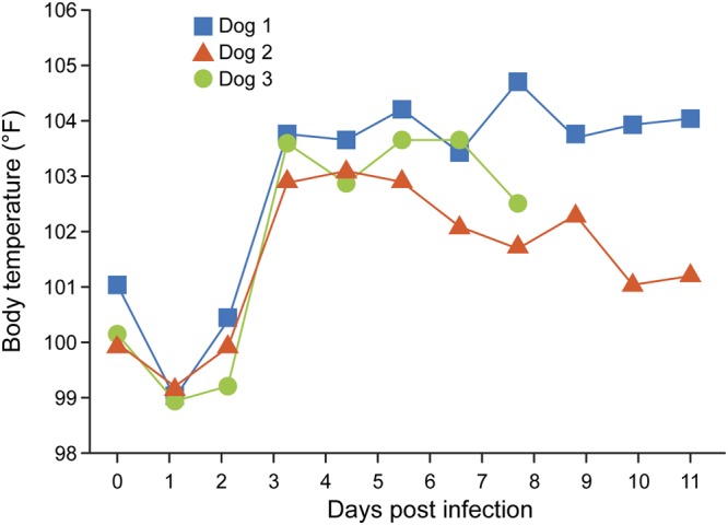 FIG 3