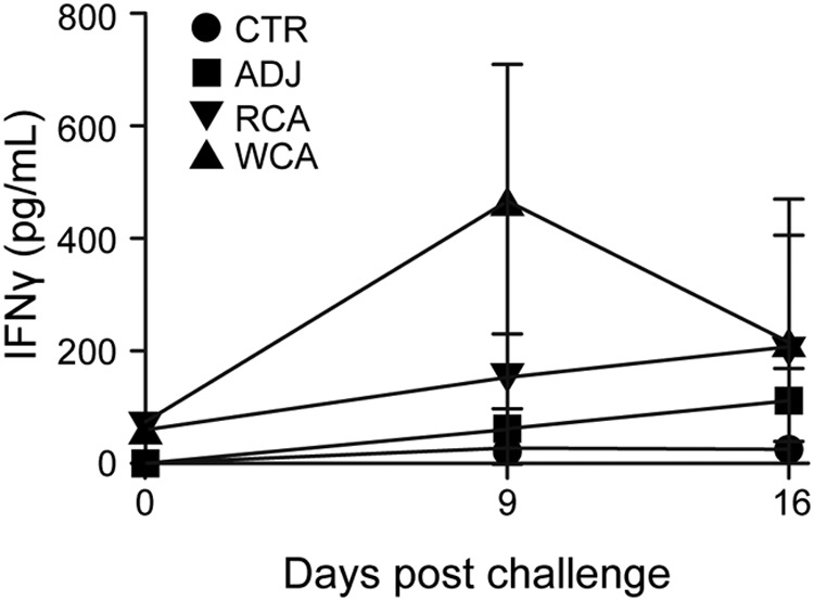 FIG 2