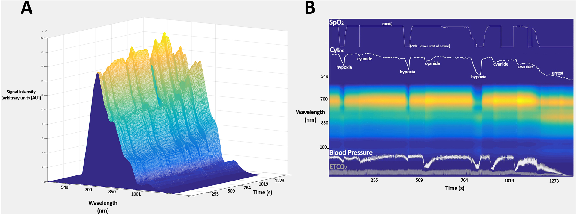 Figure 4.