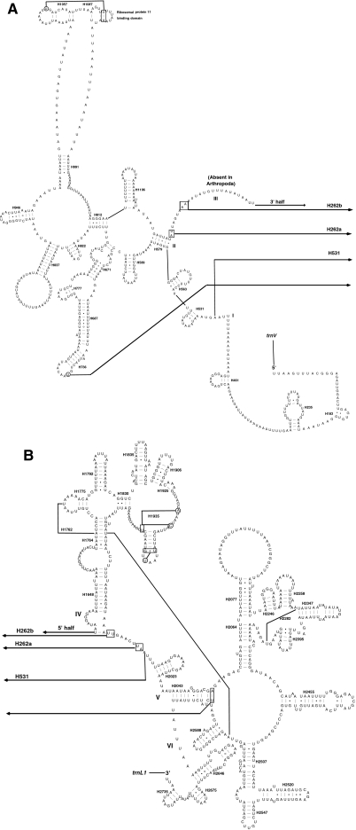 Fig. 4