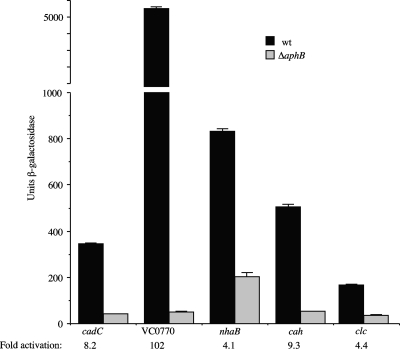 FIG. 2.