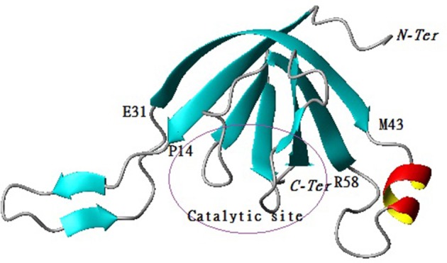 Figure 5