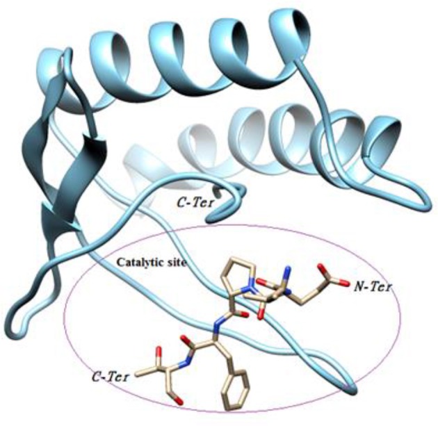 Figure 7