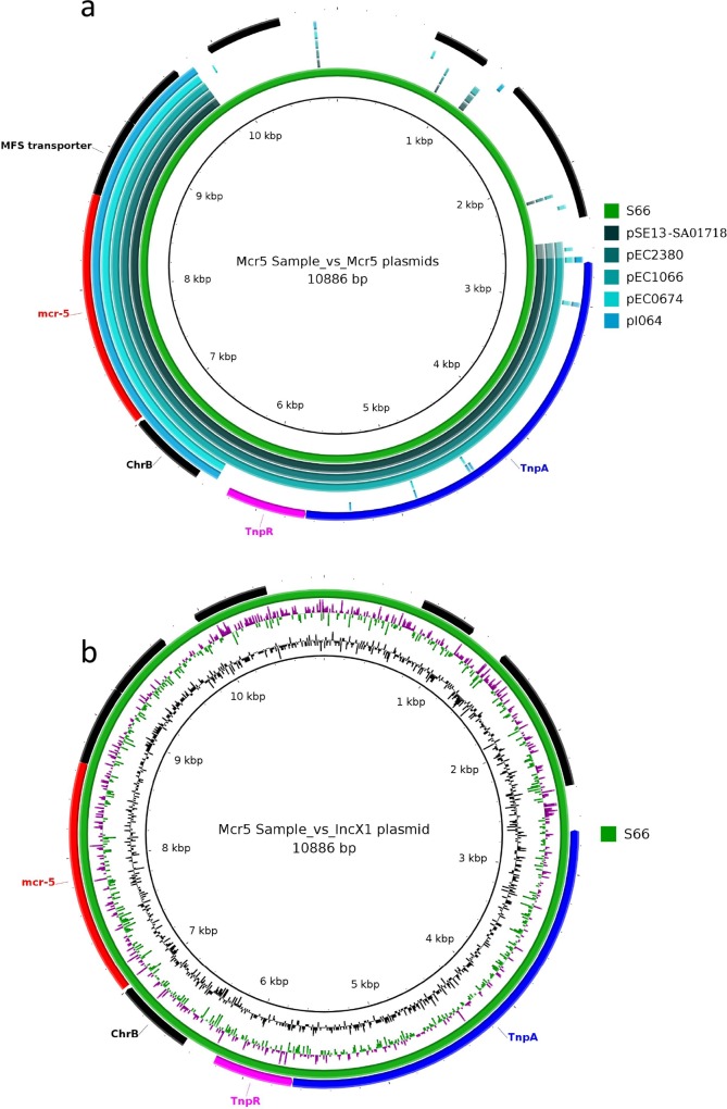 Fig. 3.