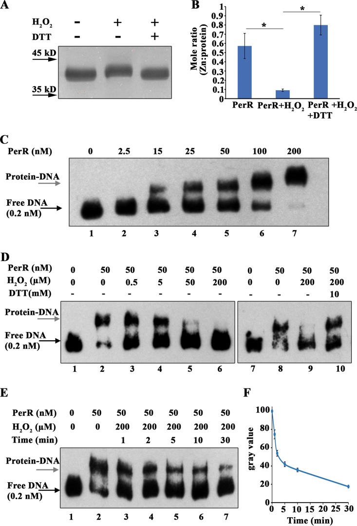 FIG 5