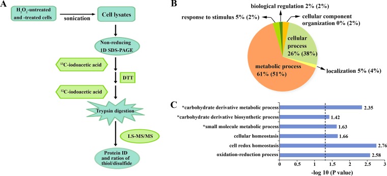 FIG 2