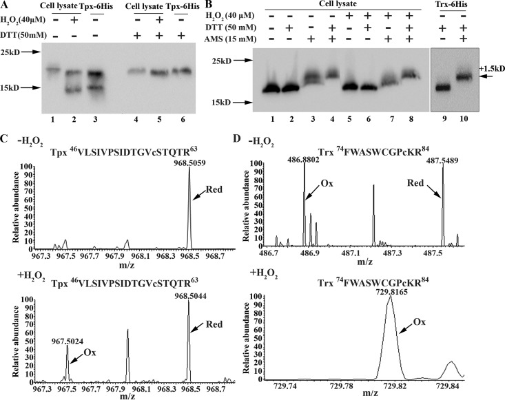 FIG 3