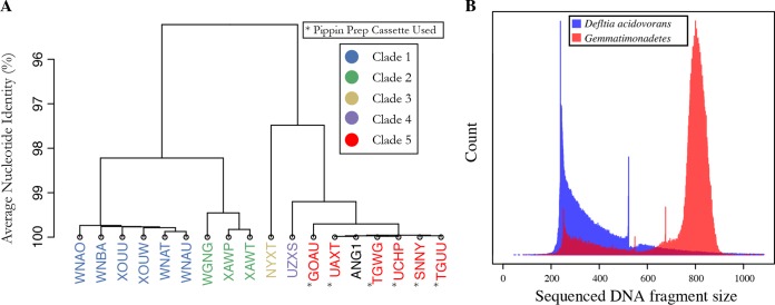 FIG 2 