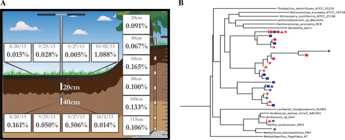 FIG 1 