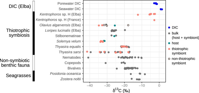 FIG 6