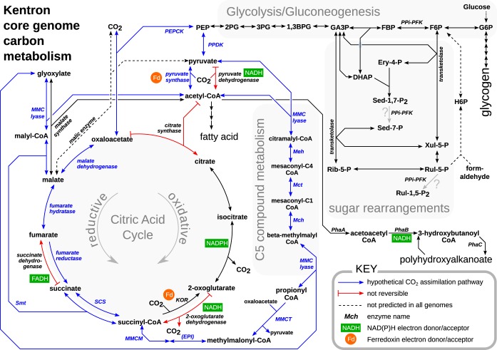 FIG 3