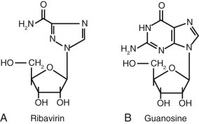 FIGURE 44-4