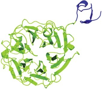 FIGURE 44-2