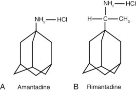 FIGURE 44-1