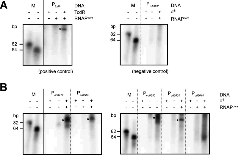 FIG 4