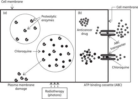 Figure 4.