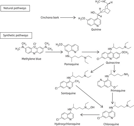 Figure 1.