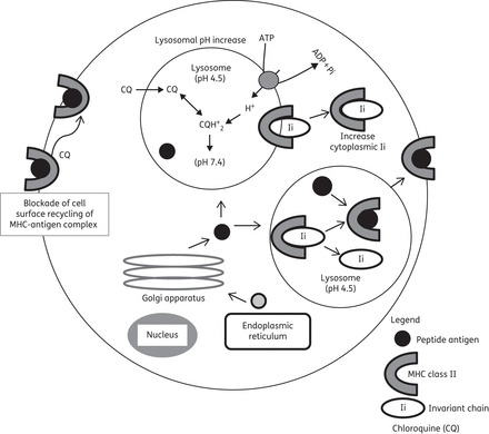 Figure 2.