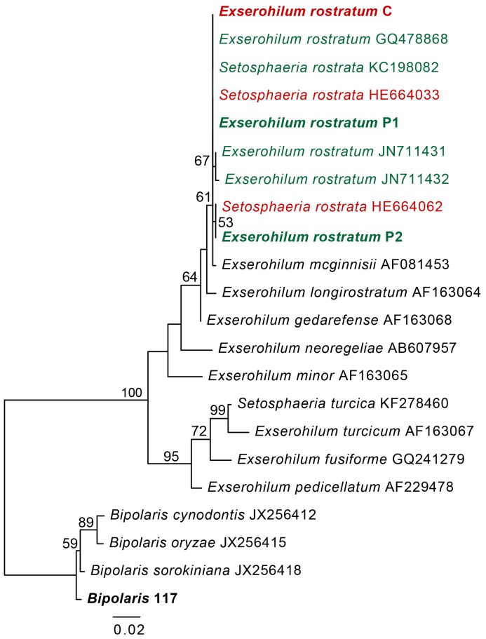 Figure 2