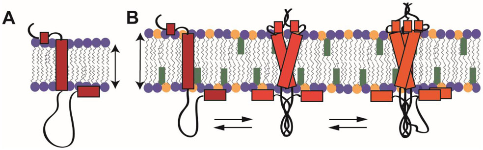 Figure 9.