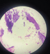 Figure 20