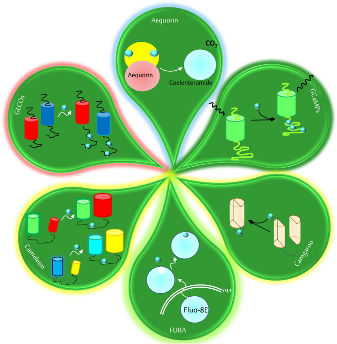 graphic file with name 12298_2023_1405_Figa_HTML.jpg