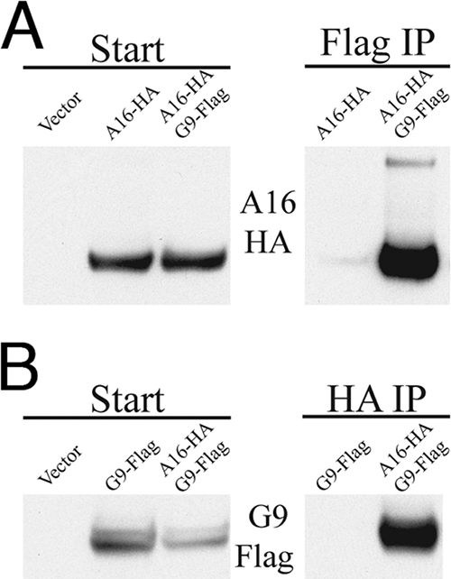 FIG. 6.