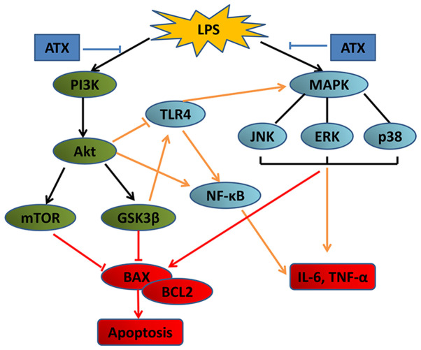 Figure 6.