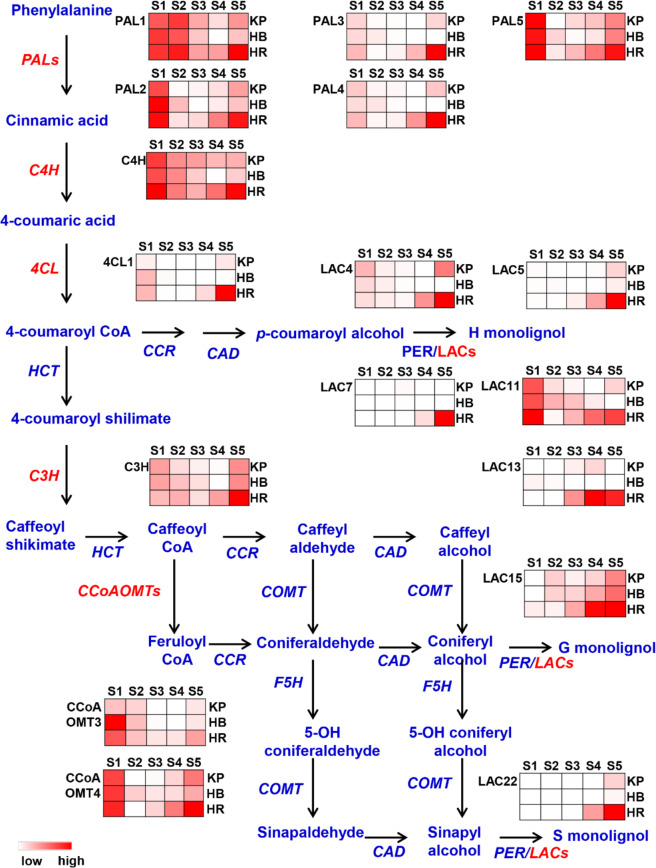 Fig. 2