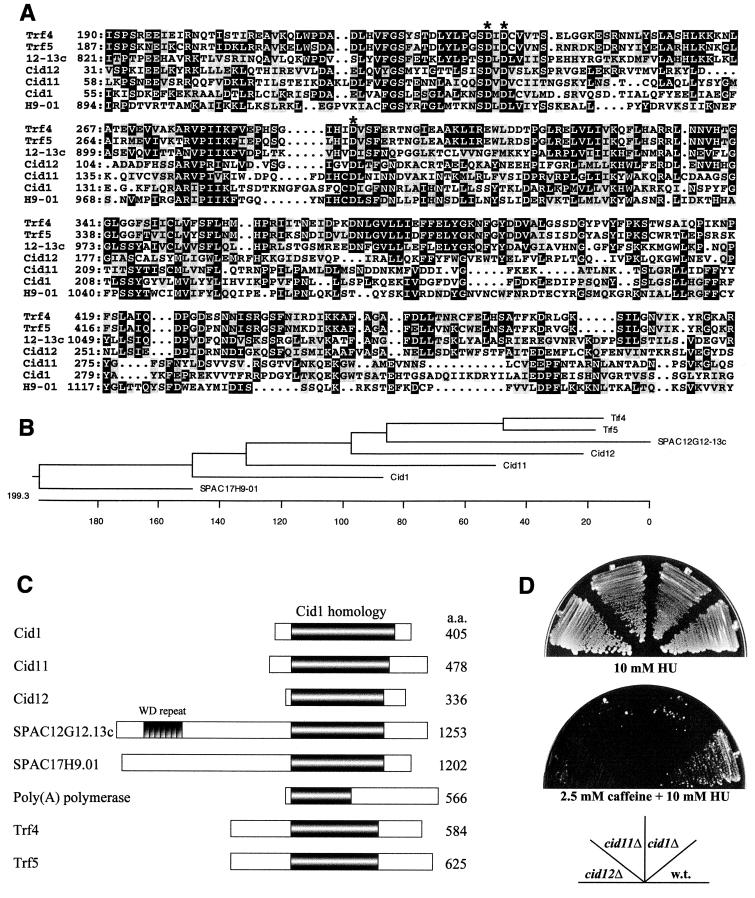 FIG. 6