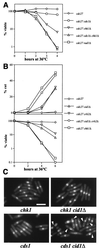 FIG. 5