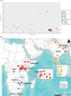 Population structure of 39 cultivated finger millet accessions, based on 2044 DArTSeq SNPs