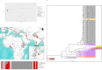 Population structure of 94 wild and domesticated Eragrostis accessions, based on 4455 DArTSeq SNPs.