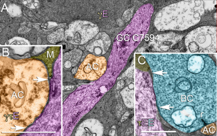 Figure 18