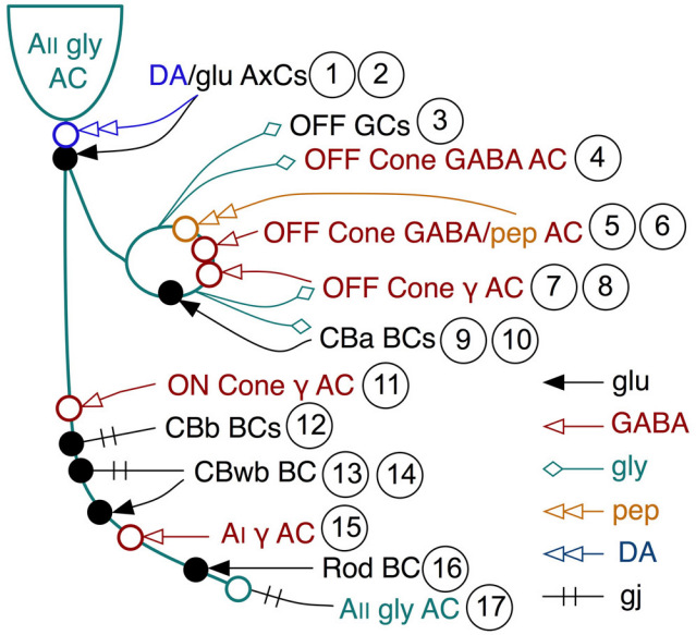 Figure 6