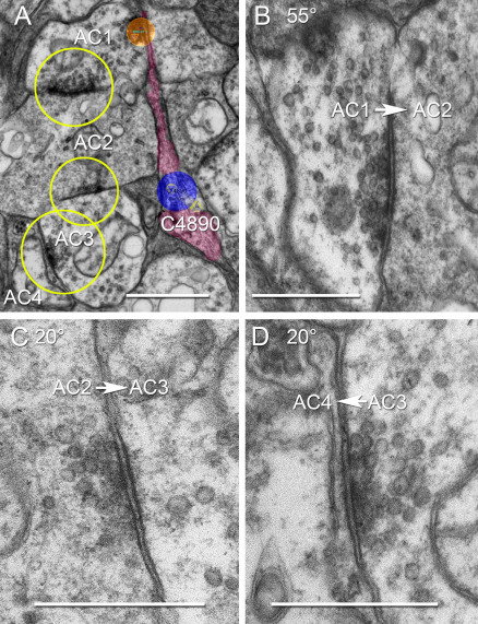 Figure 15