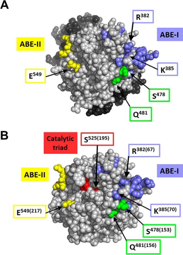 FIGURE 11.