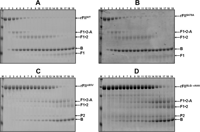 FIGURE 5.