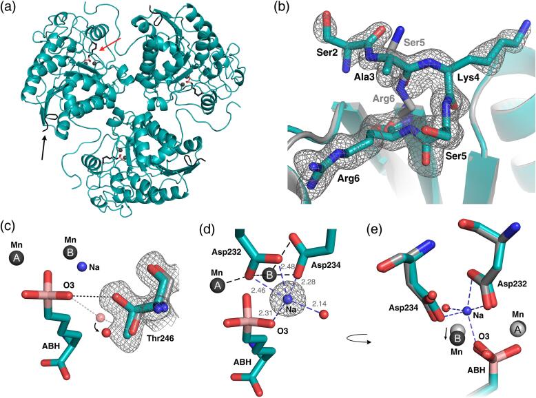 Fig. 4