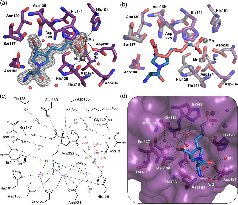 Fig. 7