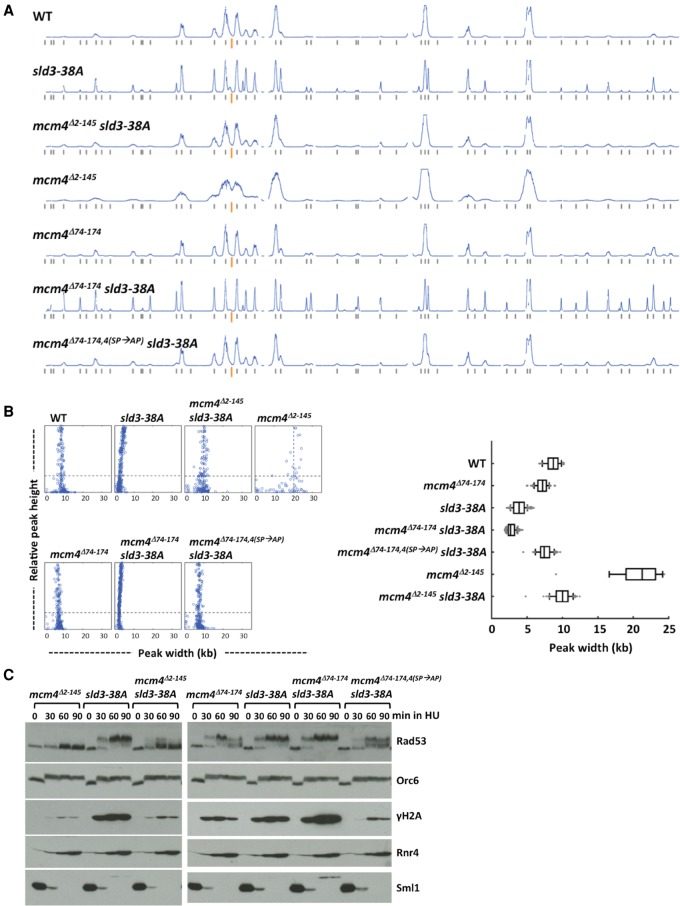 Figure 4.