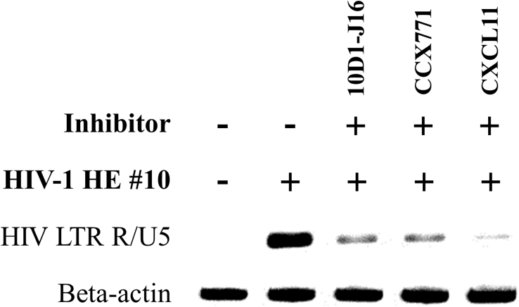 Fig. 6